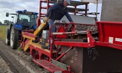 News image: Vers van het veld!